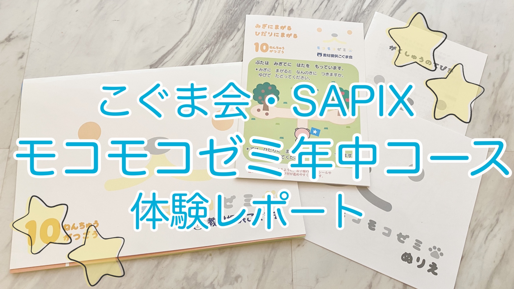 新品未使用 のりものゼミ 年少 1年分12ヶ月分モコモコゼミSAPIX こぐま 